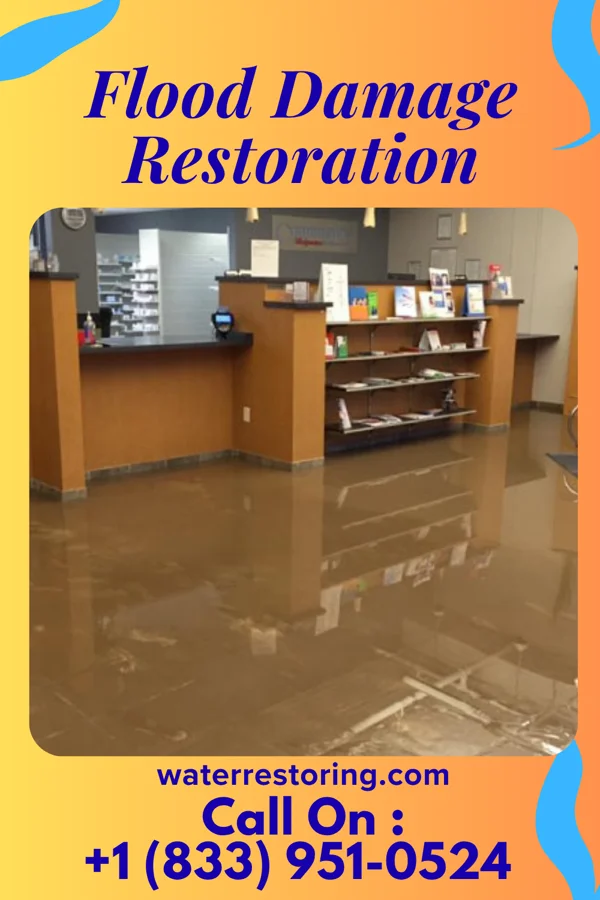 Flood Damage Restoration in Dunnavant, AL